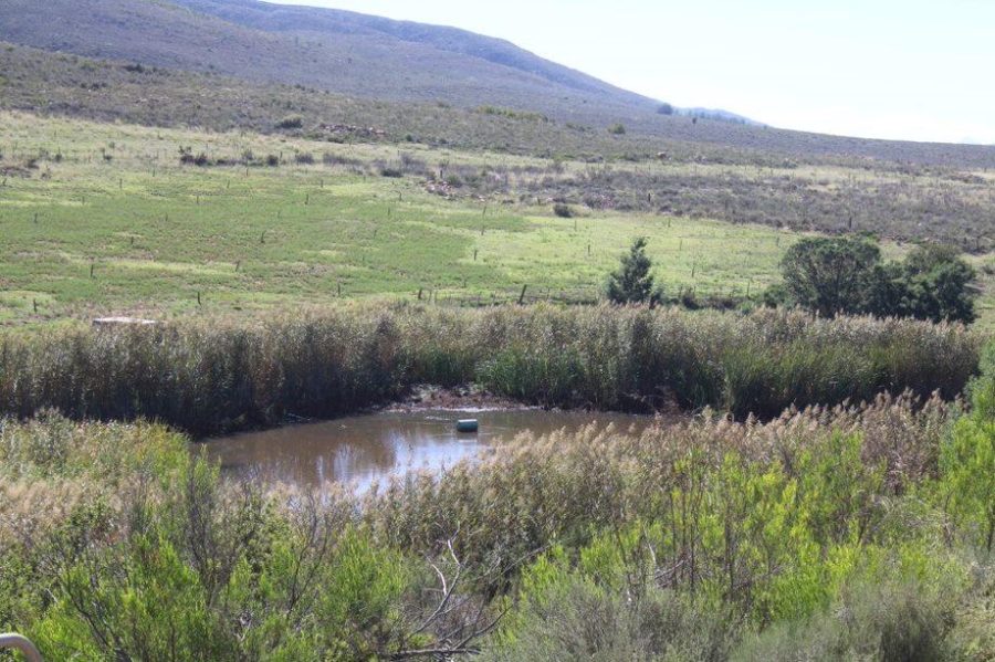 0 Bedroom Property for Sale in Haarlem Western Cape